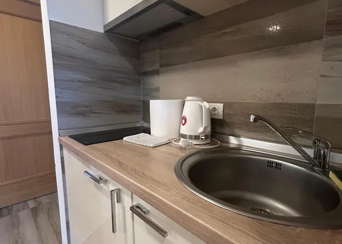 Borova Appartement *